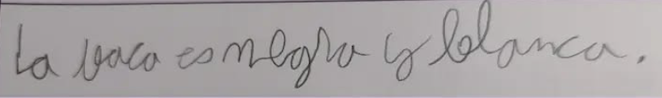disgrafi